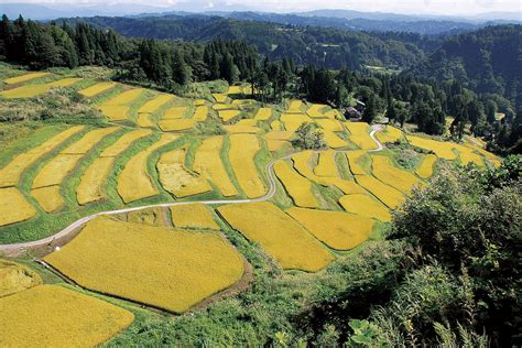 小千谷市(新潟県)掲示板